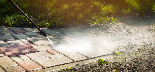 Best Residential Exterior Washing  in Beaverton, MI